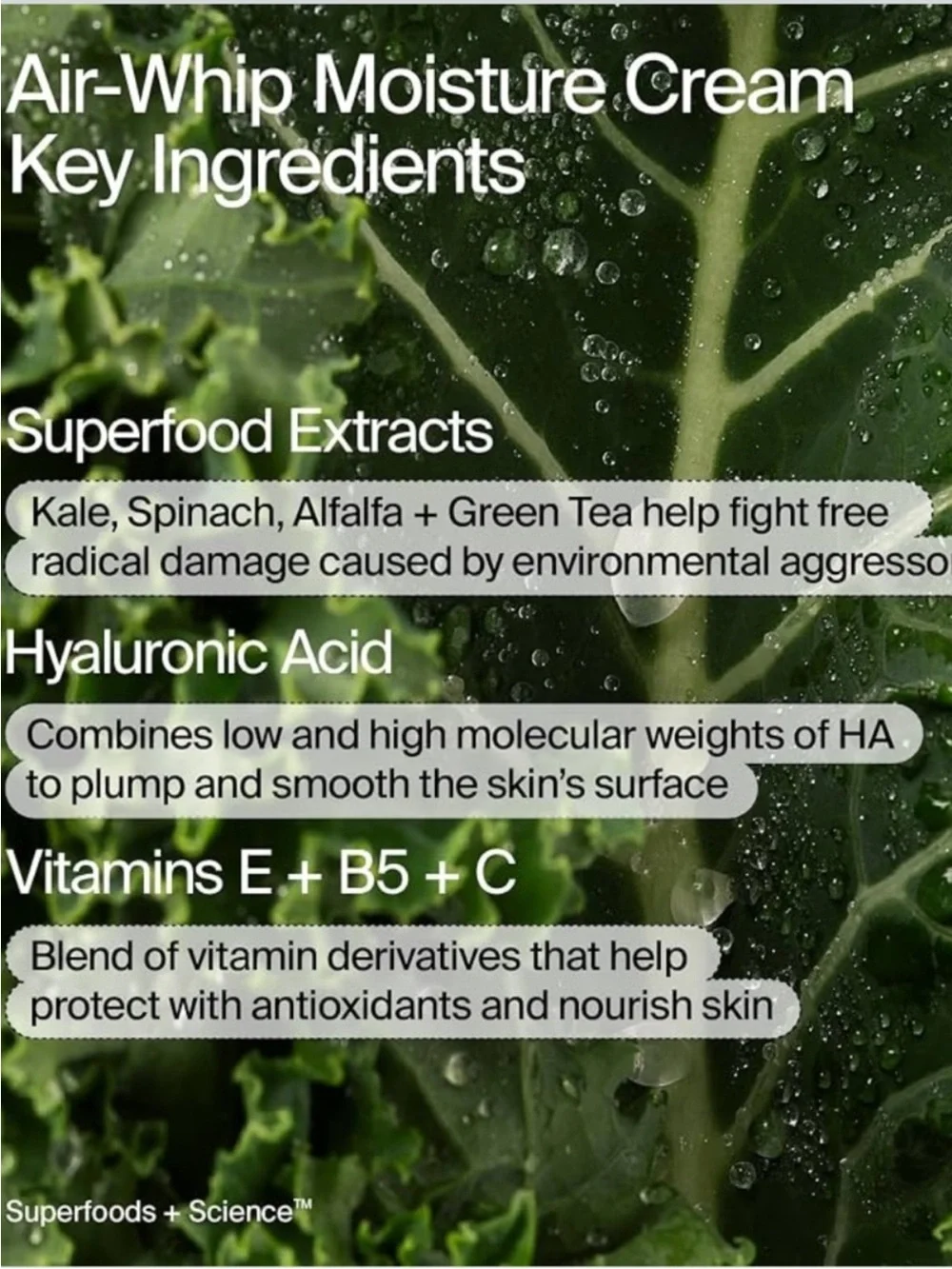 Youth to the People Renew N' Brighten Mini Skincare Set
